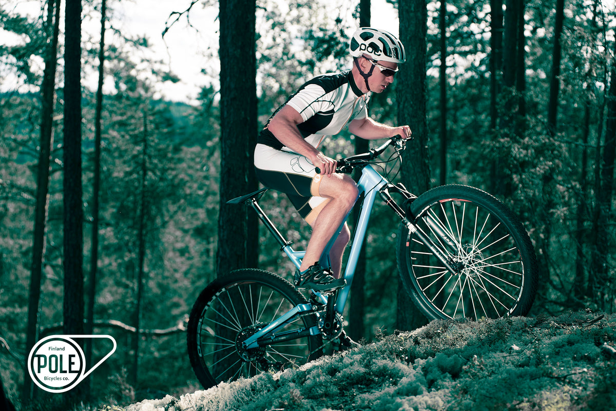 EVOLINK sibling — 110