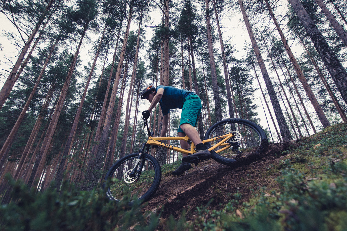 EVOLINK — Toni Rutanen