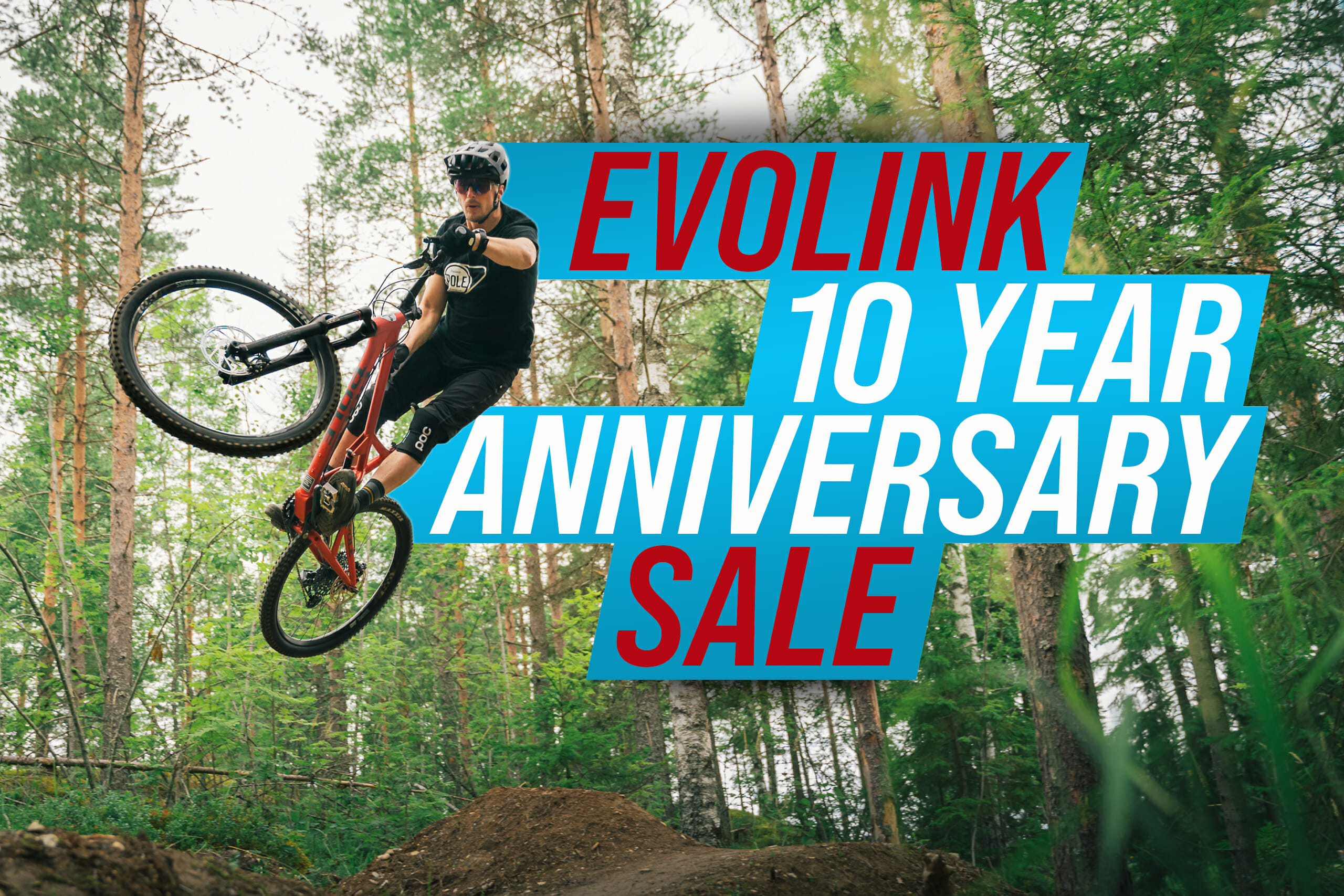 evolink_10_year_sale_web